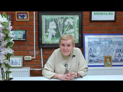 Видео: Отвечаем на вопросы наших зрителей №53