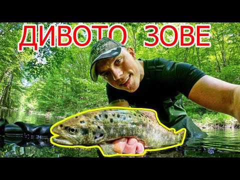 Видео: РИБОЛОВ НА ПЪСТЪРВА!