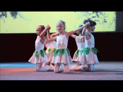 Видео: Do-Mi-No/Подснежники