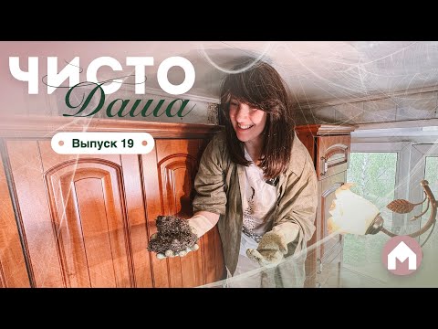 Видео: Самая ЗАПУЩЕННАЯ кухня 😱 / Чисто Даша #19