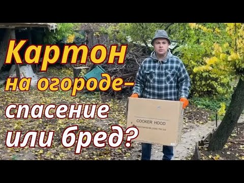 Видео: Картон на грядках — гениально или глупо? Мой опыт и неожиданные результаты!
