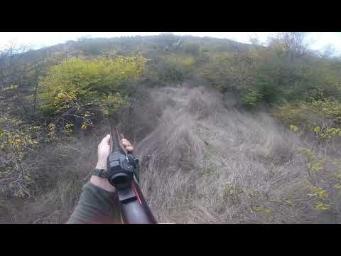 Видео: В края на мача