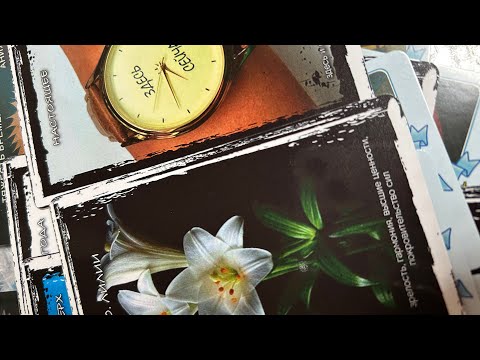 Видео: ЧТО ВАМ НУЖНО ЗНАТЬ 👸 