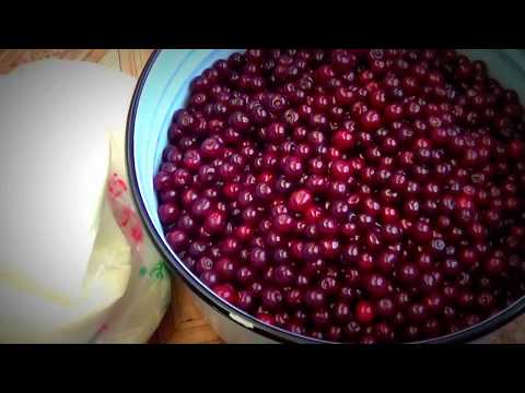 Видео: Шиеден керемет Тосап|Отличное вишневое варенье| Cherries jam