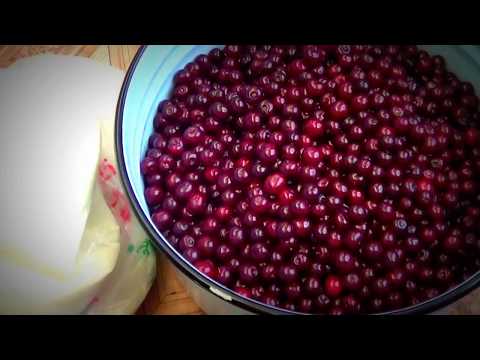 Видео: Шиеден керемет Тосап|Отличное вишневое варенье| Cherries jam