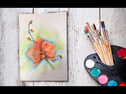 Видео: Уроки рисования! Как нарисовать орхидею акварельными карандашами! #Dari_Art