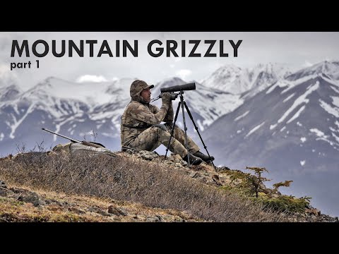 Видео: ГОРНЫЙ ГРИЗЛИ часть 1