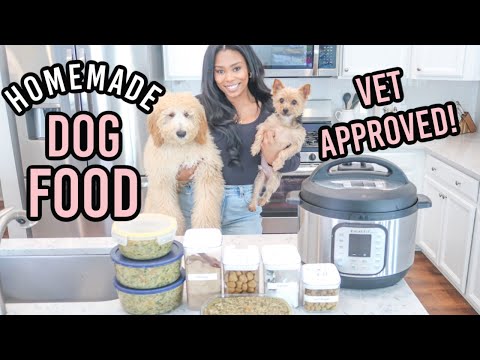 Видео: РЕЦЕПТ ДОМАШНЕГО + ПОЛЕЗНОГО КОРМА ДЛЯ СОБАК, ОДОБРЕННОГО ВЕТЕРИНАРНЫМИ ВРАЧАМИ | ГОТОВИМ ПИЩУ ДЛ...