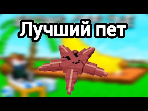 Видео: Морская звезда это лучший пет в grow a garden