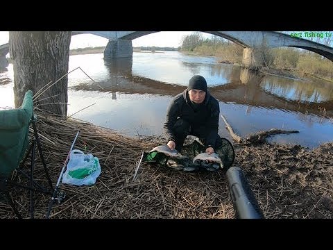 Видео: Рыбалка на Kasari вимба плотва