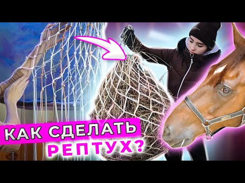 Видео: Конный DIY: Как сделать РЕПТУХ для ЛОШАДИ?