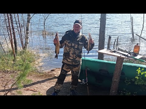 Видео: РЫБАЛКА В ОДИНОЧКУ! На Карельском лесном озере. часть1: