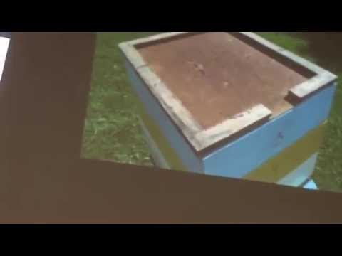 Видео: Телемост с Альгирдасом Амшеюсом на конференции "Беларуская пасека 2014"