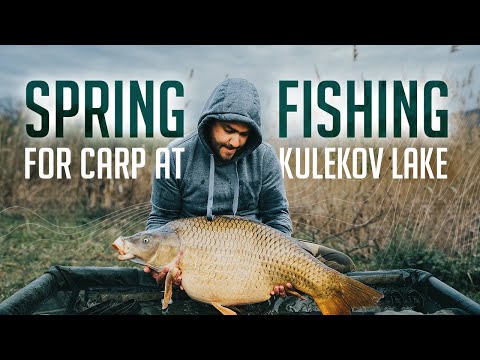 Видео: Риболов на ПРОЛЕТНИ ТУПАЛКИ от Кулеков Лейк!!! // Spring Fishing for BIG CARP at Kulekov Lake