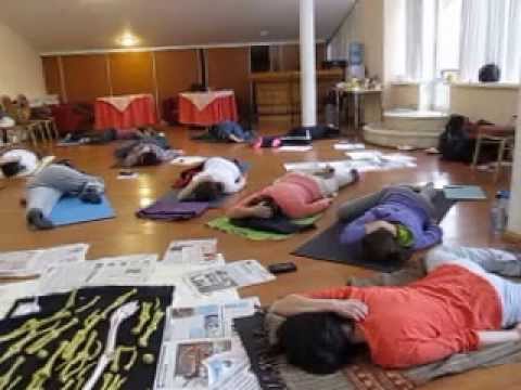 Видео: Плечевой пояс и руки 1.