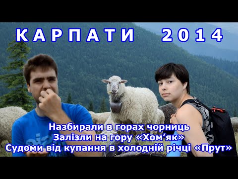 Видео: Відпочили в горах Карпат в селі Микуличин в далекому 2014