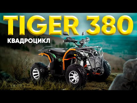 Видео: ОБЗОР КВАДРОЦИКЛА TIGER 380