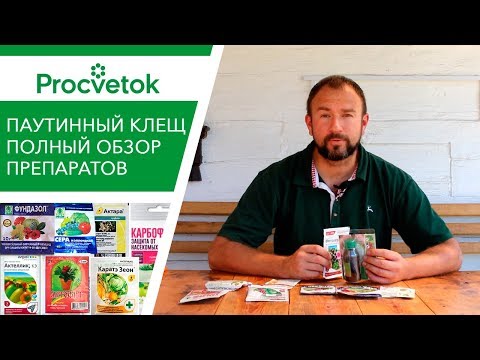 Видео: Паутинный клещ. Как обнаружить, как избавиться? Обработка сада и огорода от паутинного клеща.