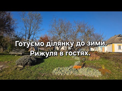 Видео: #97 Готуємо ділянку до зими. Рижуля в гостях. 