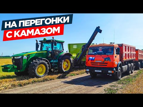 Видео: Злой Лёха комбайнер косит" силос". Вливаюсь в уборку на JD-8335R c перегрузчиком Fliegl.