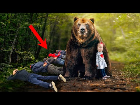 Видео: Оставляя внучку одну с медведем, бабушка не ожидала такой жестокости!