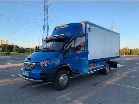 Видео: Такого валдая вы еще не видели.