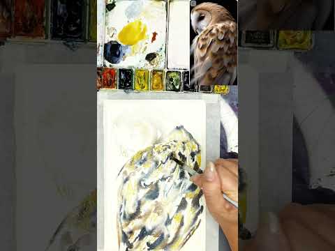 Видео: Сова акварелью