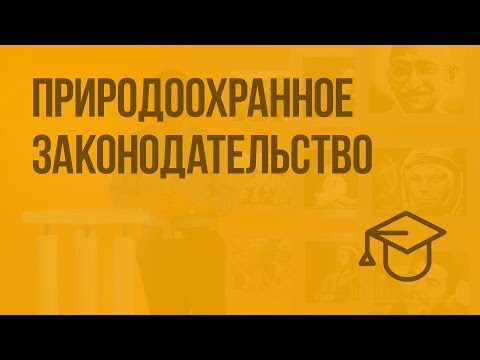 Видео: Природоохранное законодательство. Видеоурок по обществознанию 7 класс