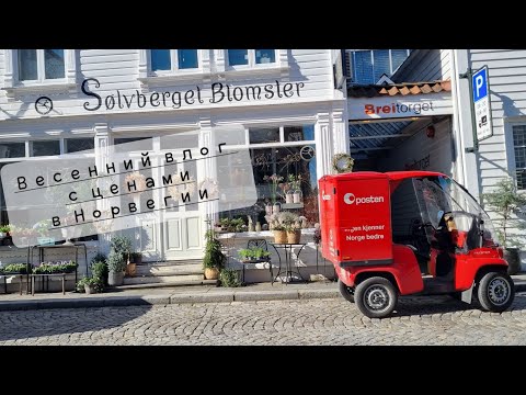 Видео: Большой влог из Норвегии. Шоппинг, сакура, суши и магический пакет.