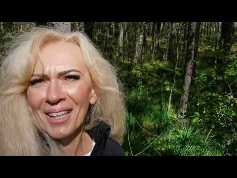 Видео: Залипательное видео  #orchid #plants  #орхидеи  #flowers #цветы #мох