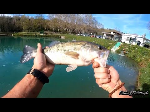 Видео: Рыбалка на платном водохранилище Италии,форель и красивые места!!!