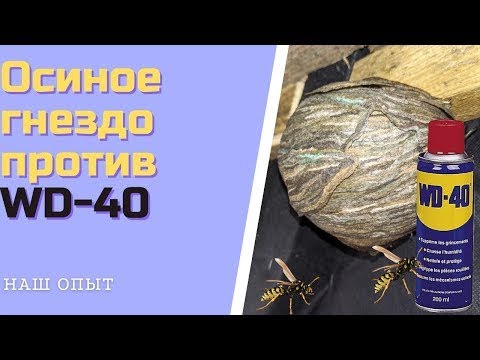 Видео: Способ борьбы с осиным гнездом WD 40 #осиноегнездо #борьбасосинымгнездом