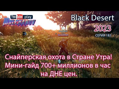 Видео: Снайперская охота. Фарм серебра Black Desert 2023.