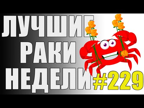 Видео: ЛРН выпуск №229 🤪 РАКООБРАЗНАЯ ЭКСКУРСИЯ и АНТИМАТЕРИАЛЬНЫЕ СНАРЯДЫ [Лучшие Раки Недели]