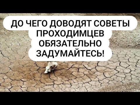 Видео: Восстанавливаем плодородие почвы от советов блогеров