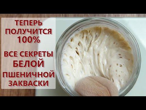 Видео: ВСЕ о пшеничной закваске из холодильника на муке высшего сорта ! (Как вывести, кормить и хранить )