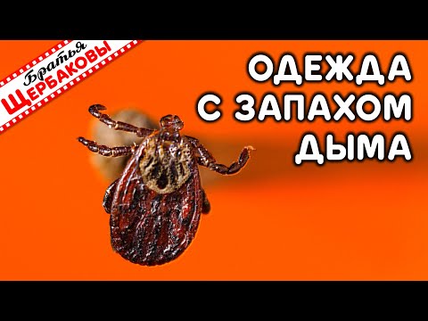 Видео: НАТУРАЛЬНЫЙ ДЫМ ПРОТИВ КЛЕЩЕЙ! Может ли запах дыма отпугнуть кровопийц?