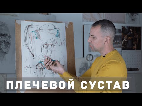 Видео: Плечевой сустав - А. Рыжкин
