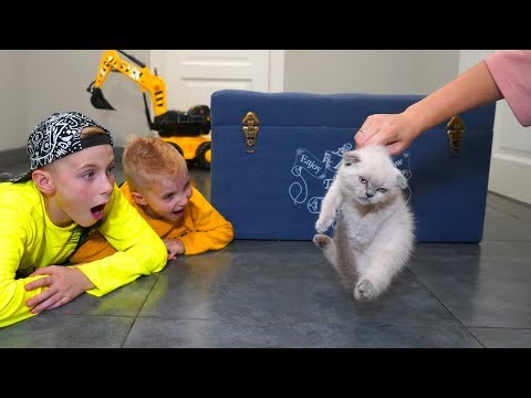 Видео: Мама ПРОТИВ ... Хочет выбросить на улицу!!!Mom VS kitten. What now?