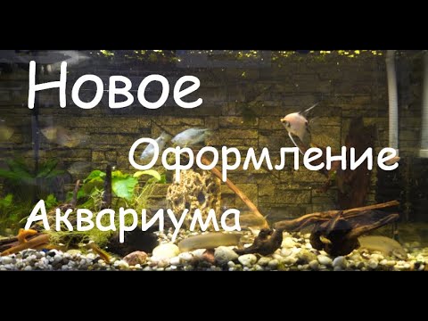 Видео: Новое оформление аквариума