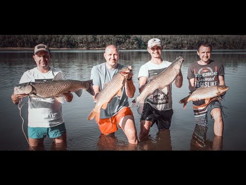 Видео: Вот такой должна быть рыбалка на АХТУБЕ! Поймали шесть видов РЫБЫ! Рыбалка с Евгением Фёдоровым!
