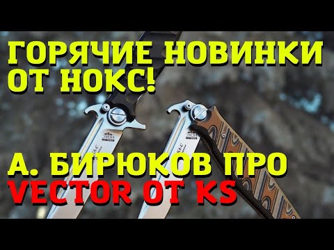 Видео: НОКС на Клинке! Говорим про Финки и Vector от Supreme.