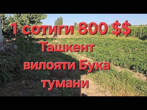 Видео: 14 СОТОК ЕР СОТИЛАДИ ТОШКЕНТ ВИЛОЯТИ БУКА ТУМАНИ 