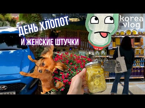 Видео: День хлопот/Налоговая в Сеуле/Корейские прокладки/Певец на Хангане/KOREA VLOG