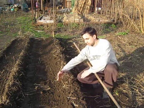 Видео: Узкие грядки в природном земледелии (укр.)
