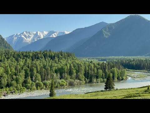 Видео: ГорныйАлтай/УймонскаяДолина/Еще один волшебный жизни День...