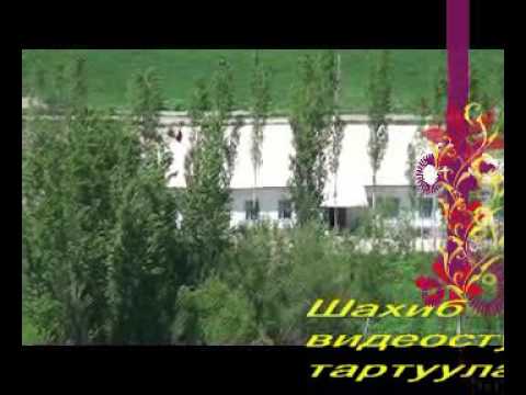 Видео: Мукур  айылы