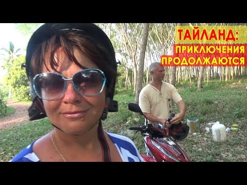Видео: Отель AWAY KOH KOOD RESORT. И приключения в ТАЙЛАНДЕ: Заблудились в лесу. Каучуковые плантации.