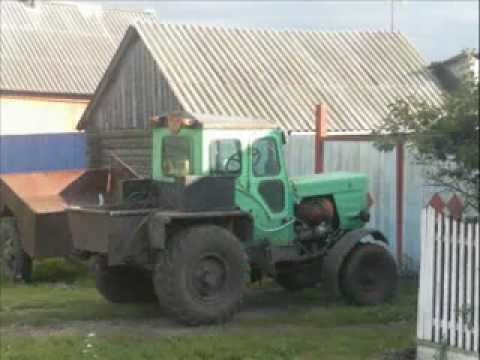 Видео: Прикольное виде про мою родную деревню ЧИРКИ