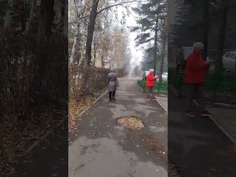 Видео: Поздняя осень в загадочном городке.